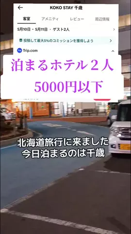 トトのTikTok投稿