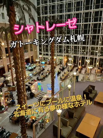 トトのTikTok投稿