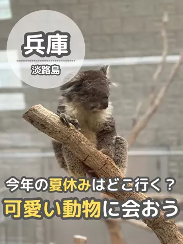 BESKOのTikTok投稿