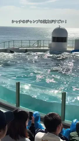 ラベちゃん🪻温泉旅♨️のTikTok投稿