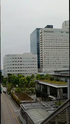 トトのTikTok投稿