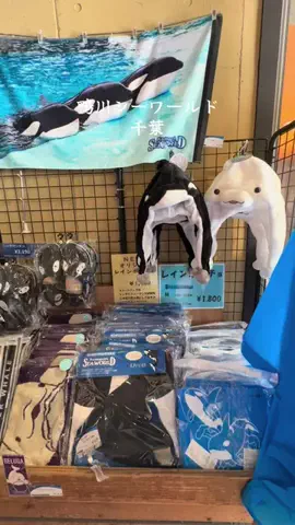 ラベちゃん🪻温泉旅♨️のTikTok投稿