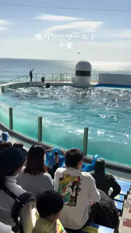 ラベちゃん🪻温泉旅♨️のTikTok投稿