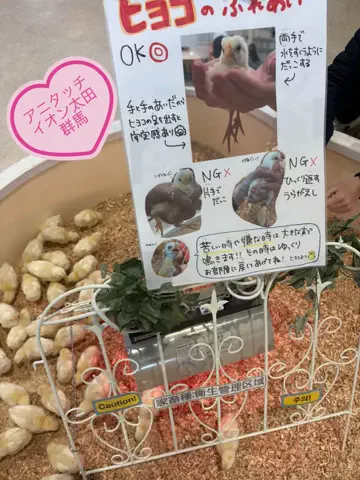 ラベちゃん🪻温泉旅♨️のTikTok投稿