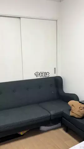 🔱SHIGE 🔱のTikTok投稿