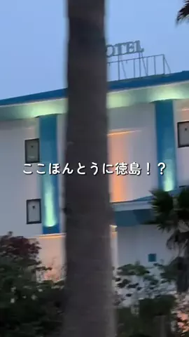 BESKOのTikTok投稿