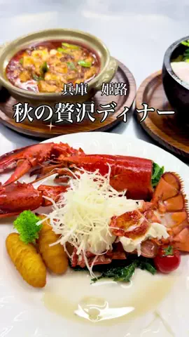 姫路グルメ・ランチ・ディナー　K太郎【姫路・兵庫・関西】のTikTok投稿