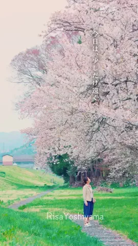 吉山りさのTikTok投稿