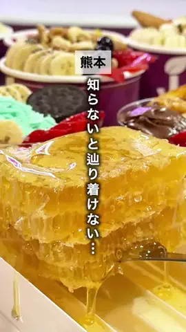 くまグルメ【熊本グルメ】のTikTok投稿