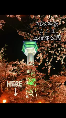 みーなりーなのTikTok投稿