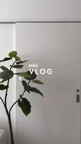 𝗌𝗁𝗂𝗈🥜のTikTok投稿