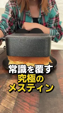 フラミン子のTikTok投稿