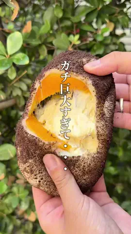 神戸グルメまひろのTikTok投稿