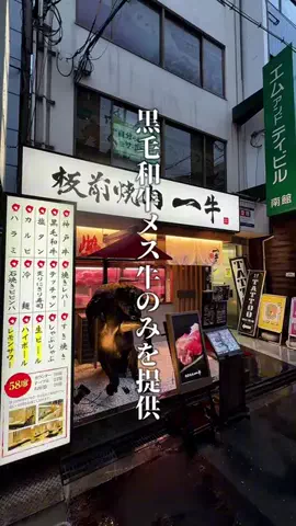 神戸グルメまひろのTikTok投稿