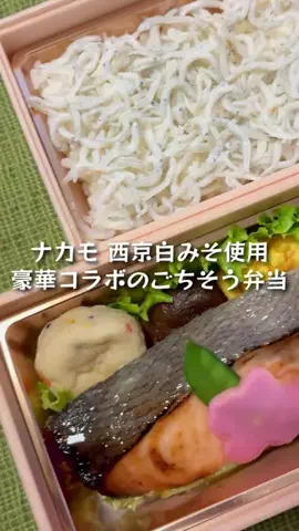 ずいみーのTikTok投稿