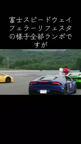 カリオンのTikTok投稿