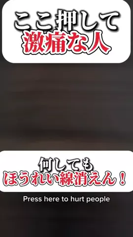 YurupechiのTikTok投稿