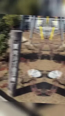 いこーよ！ぶらり公園めぐりのTikTok投稿