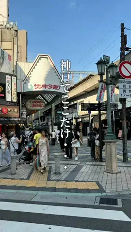 神戸グルメまひろのTikTok投稿