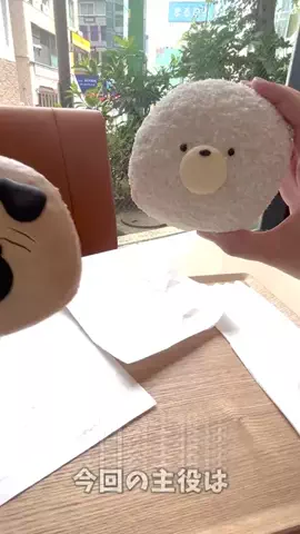 age_sapoのTikTok投稿