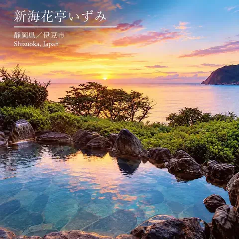 ハーレイクイン｜絶景ホテル予約✨のTikTok投稿