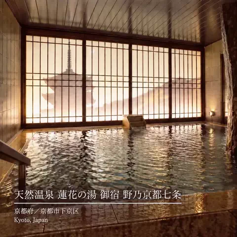 ハーレイクイン｜絶景ホテル予約✨のTikTok投稿