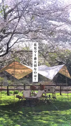 ログハウスの住人のTikTok投稿