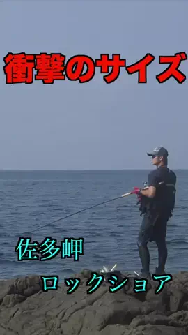 ケンシロウ K×K Fishing🌴のTikTok投稿