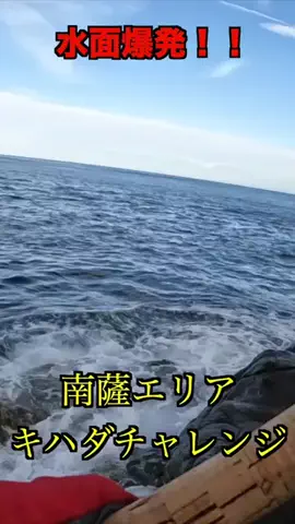 ケンシロウ K×K Fishing🌴のTikTok投稿