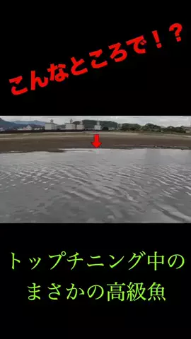 ケンシロウ K×K Fishing🌴のTikTok投稿