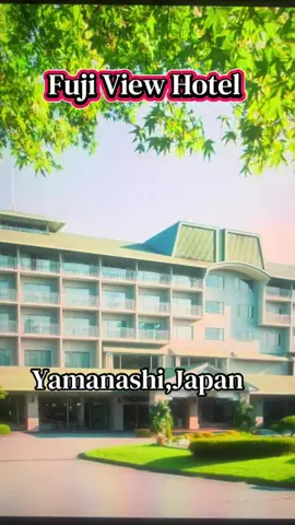 💝アンズ💕 🇯🇵のTikTok投稿
