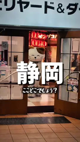 静岡グルメ🍽️ごちそうがかりのTikTok投稿