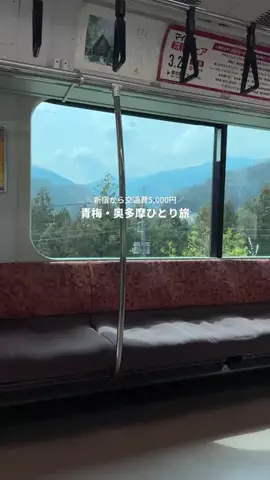 いねのTikTok投稿