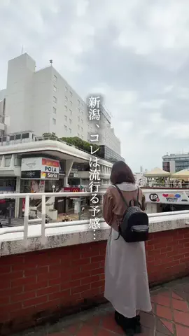 がたうぉーかー【新潟グルメ/スポット】のTikTok投稿