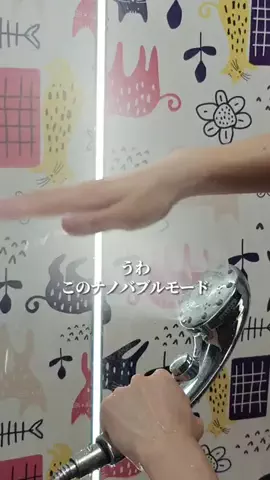 Simple DwellのTikTok投稿