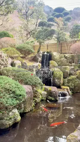 maaii_hotelのTikTok投稿