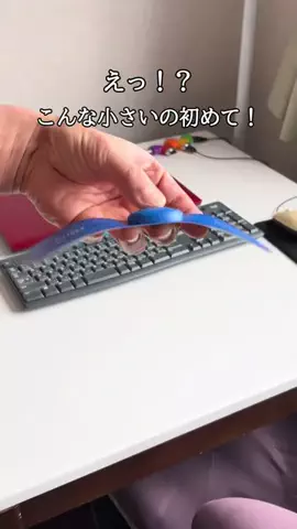 ゆーや|宅トレでボディメイクコンテスト入賞した40代のTikTok投稿
