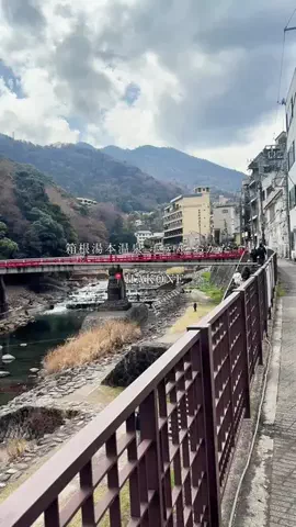 maaii_hotelのTikTok投稿