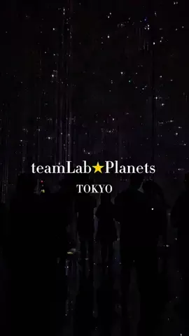 tsumugi_kanagawa_のTikTok投稿