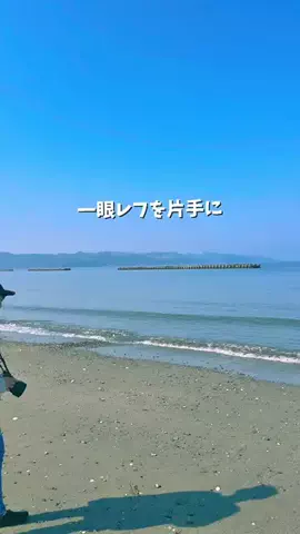 とちひめ🍓のTikTok投稿