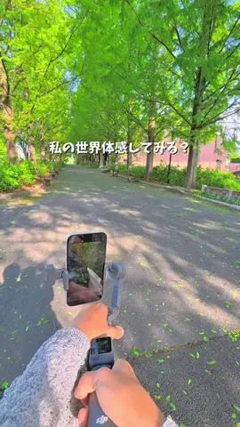 とちひめ🍓のTikTok投稿