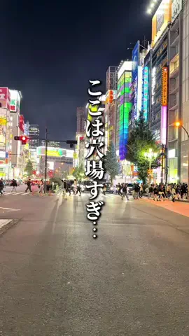 新宿グルメのTikTok投稿