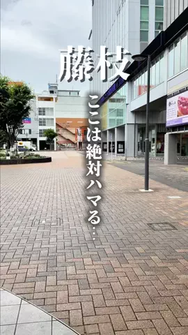 Tatsu｜静岡デートグルメのTikTok投稿