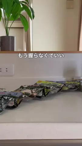 ハレ弁のTikTok投稿