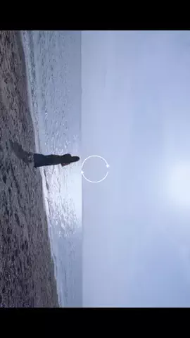 BRUTUSのTikTok投稿