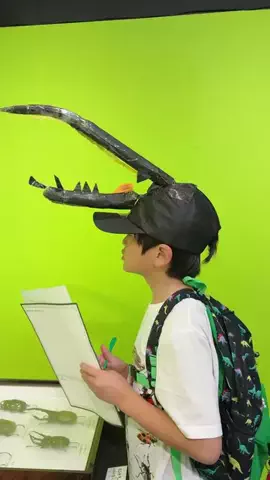 石原有輝香🐛のTikTok投稿