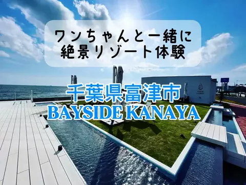 🇯🇵Garage  Refind🇯🇵SuperCubのTikTok投稿