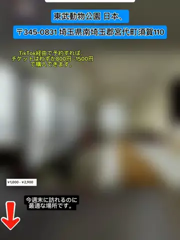 𓆩               •のTikTok投稿