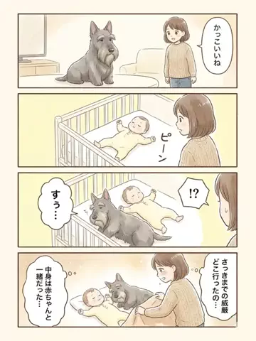 都内のチワワのTikTok投稿