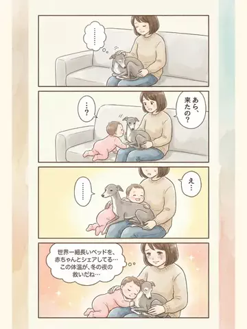 都内のチワワのTikTok投稿